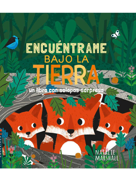 BAJO TIERRA -ENCUÉNTRAME- UN LIBRO CON SOLAPAS SORPRESA