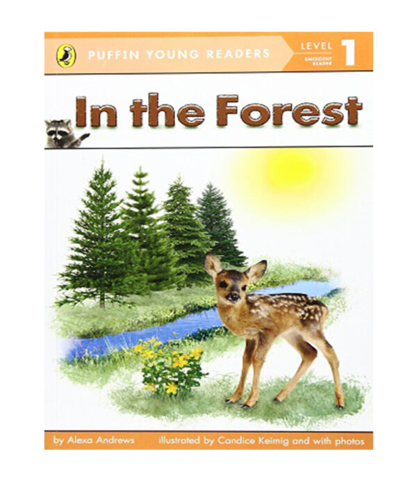 IN THE FOREST -LEVEL 1-