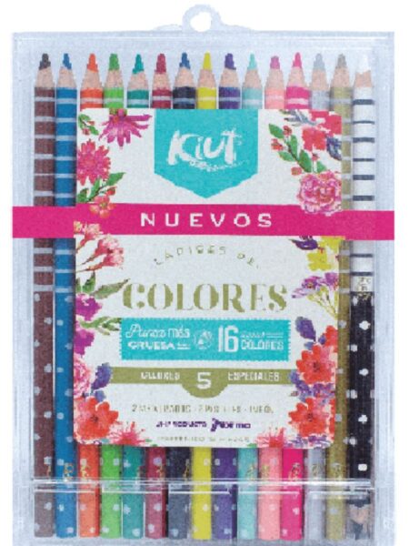 LAPIZ X 16 COLORES ESTUCHE PLÁSTICO