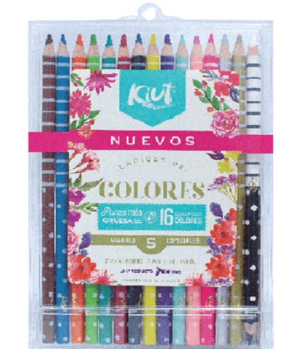 LAPIZ X 16 COLORES ESTUCHE PLÁSTICO