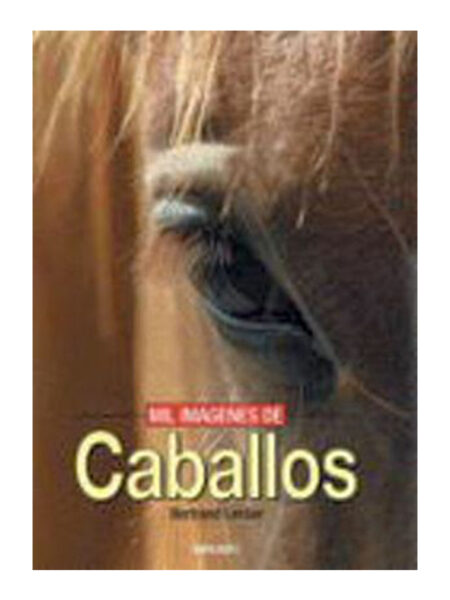 MIL IMÁGENES DE CABALLOS -TD-