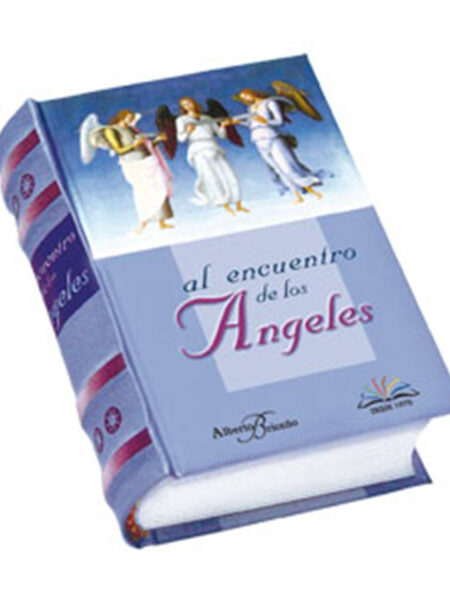AL ENCUENTRO DE LOS ÁNGELES -MINIBOOKS-