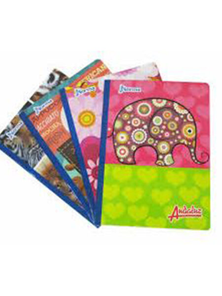 CUADERNO 100 HOJAS 2 LÍNEAS COSIDO