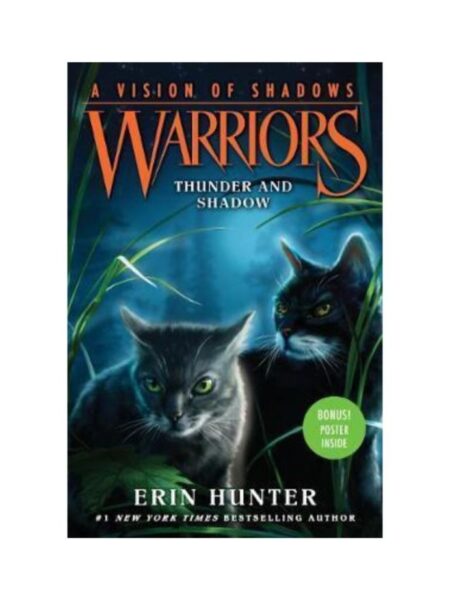 WARRIORS A VISION OF SHADOWS 2 THUNDER AND SHADOW