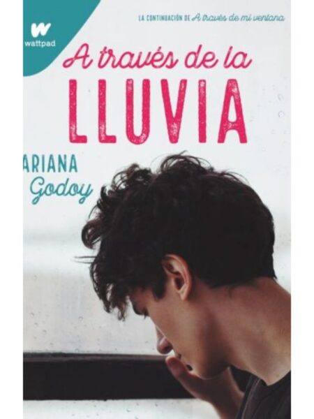A TRAVÉS DE LA LLUVIA