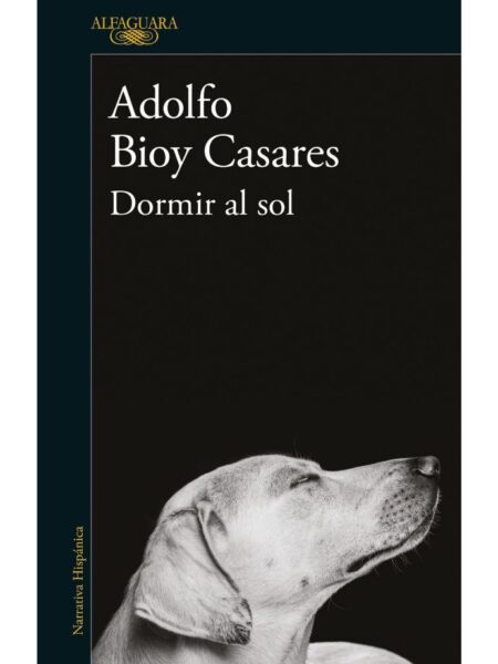 DORMIR AL SOL