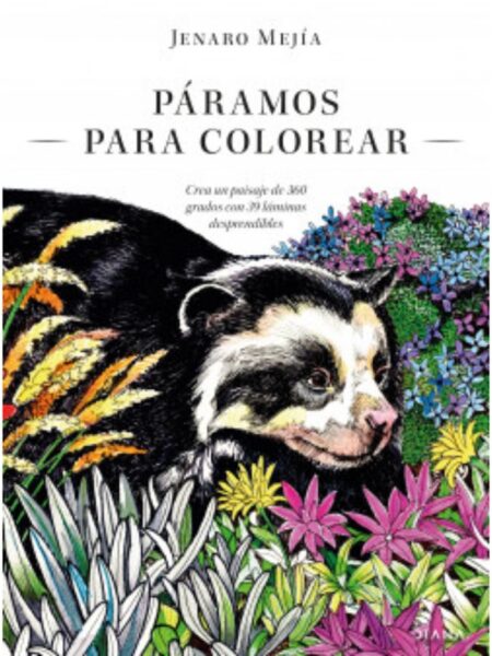 PÁRAMOS PARA COLOREAR