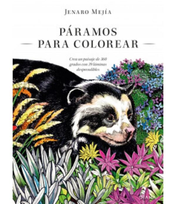 PÁRAMOS PARA COLOREAR