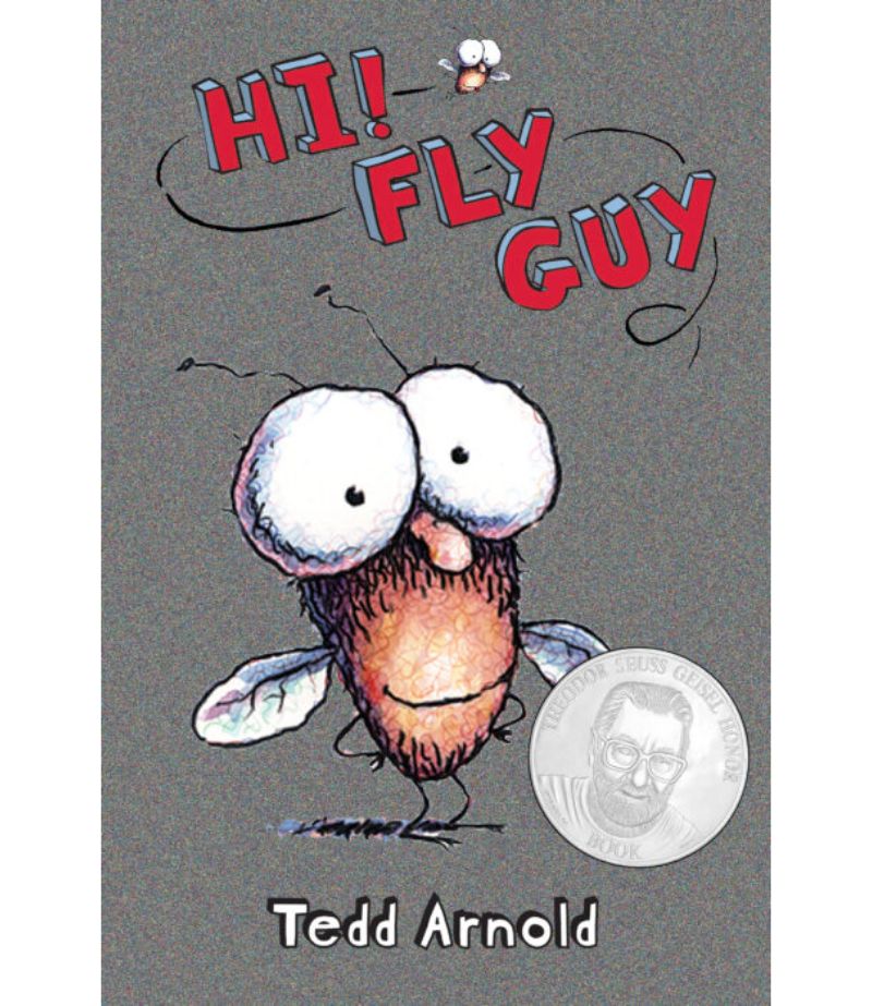 FLY GUY -HI! FLY GUY!