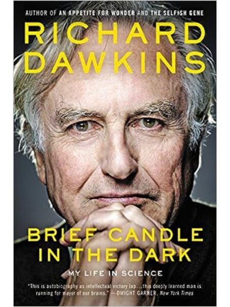BRIEF CANDLE IN THE DARK