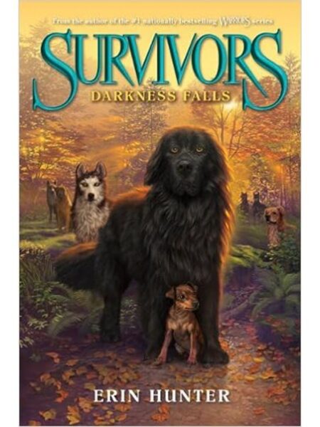 SURVIVORS 3 DARKNESS FALLS