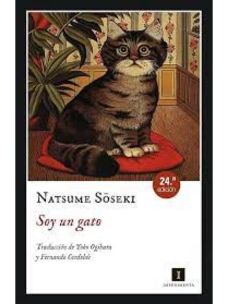 SOY UN GATO