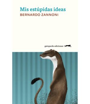MIS ESTUPIDAS IDEAS
