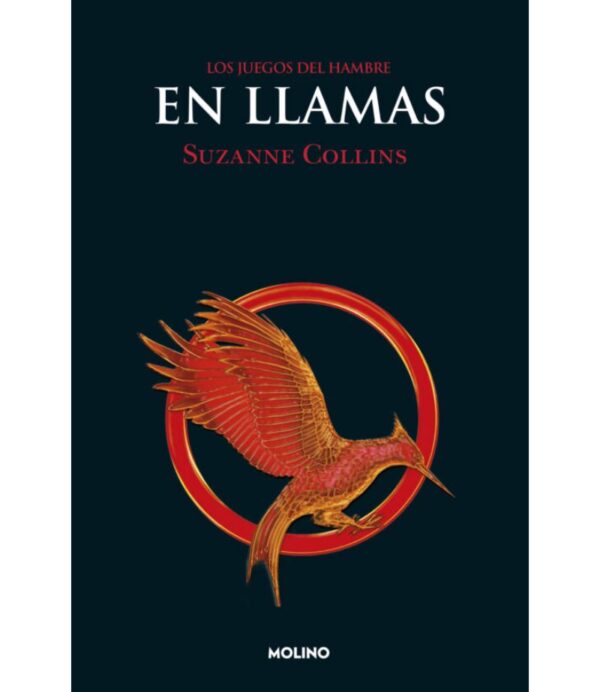 JUEGOS DEL HAMBRE -EN LLAMAS-
