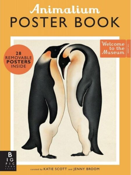 ANIMALIUM -LIBRO POSTER-