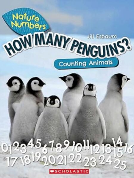 HOW MANY PENGUINS? COUNTING ANIMALS