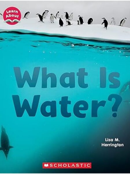 WHAT IS WATER?