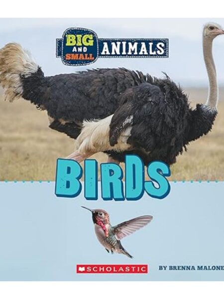 BIG AND SMALL: BIRDS