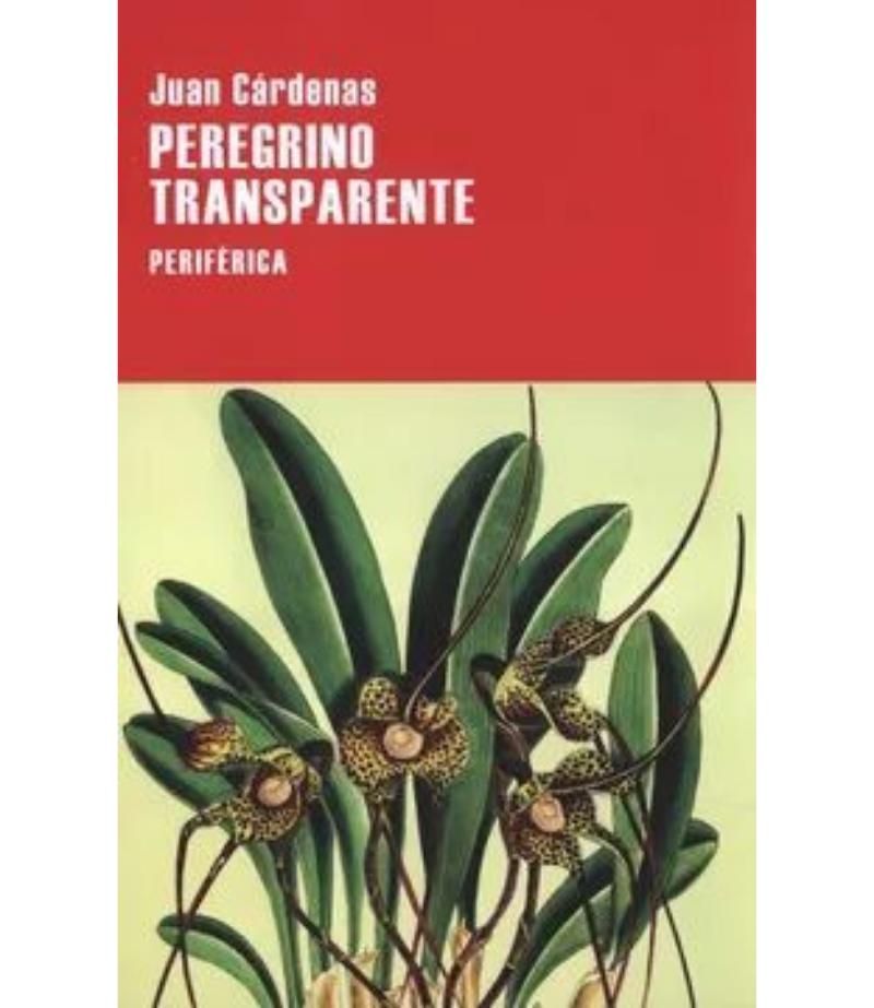 PEREGRINO TRANSPARENTE