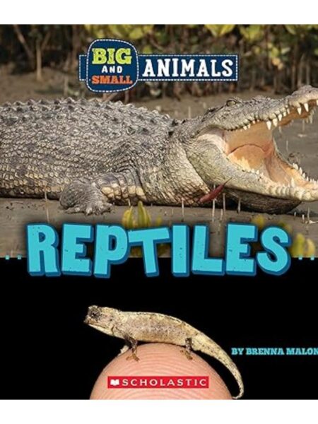 BIG AND SMALL: REPTILES