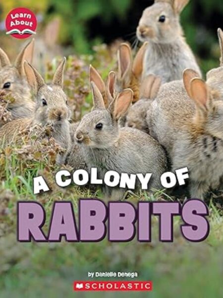 COLONY OF RABBITS, A