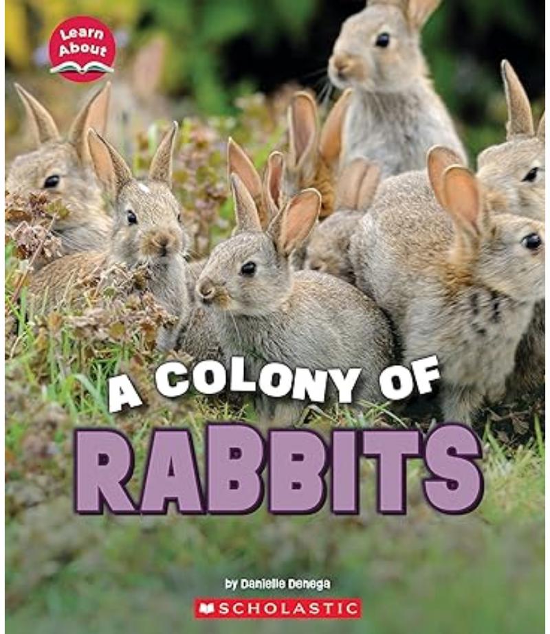 COLONY OF RABBITS, A