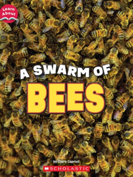 SWARM OF BEES, A