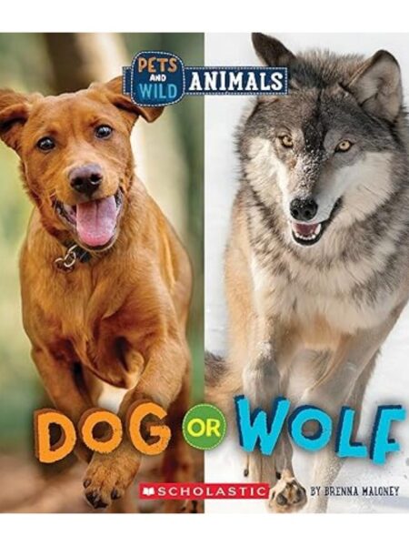 DOG OR WOLF (WILD WORLD: PETS AND WILD ANIMALS)