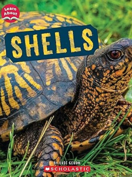 SHELLS (LEARN ABOUT: ANIMAL COVERINGS)