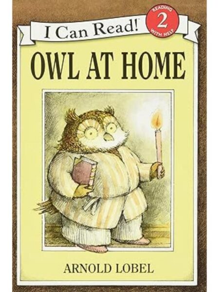 OWL AT HOME (I CAN READ LEVEL 2)