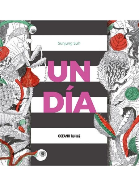 UN DÍA
