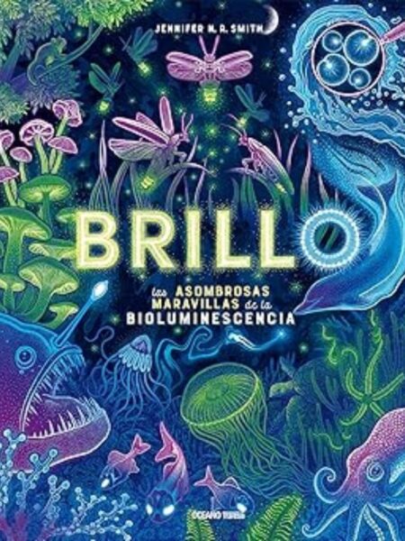 BRILLO