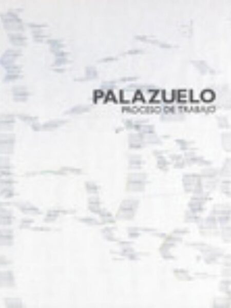 PALAZUELO -PROCESO DE TRABAJO-