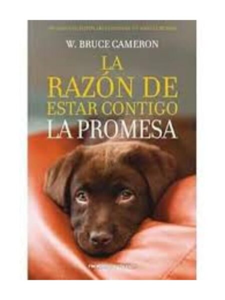 RAZÓN DE ESTAR CONTIGO, LA -LA PROMESA-
