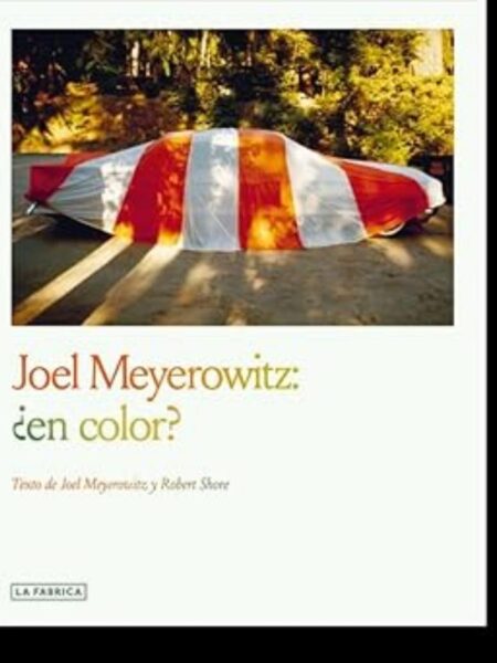 JOEL MEYEROWITZ ¿EN COLOR?