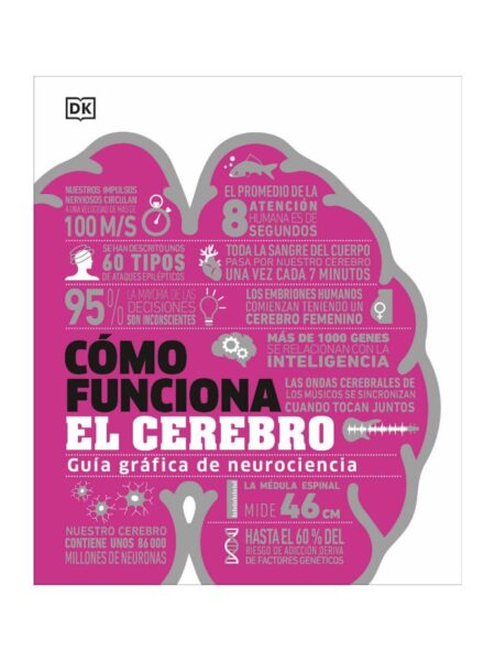 CÓMO FUNCIONA EL CEREBRO