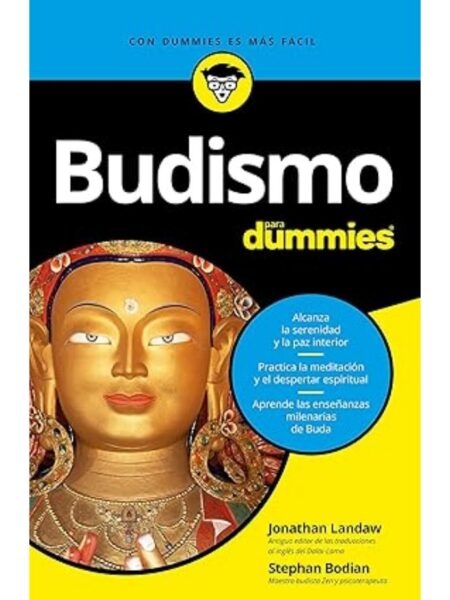 BIDUSMO PARA DUMMIES