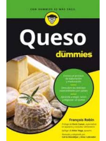 QUESO PARA DUMMIES