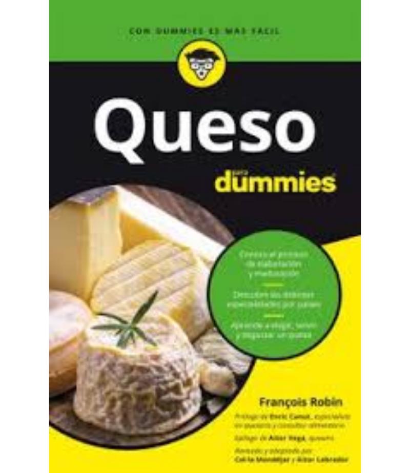 QUESO PARA DUMMIES