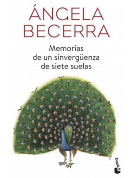 MEMORIAS DE UN SINVERGÜENZA DE SIETE SUELAS