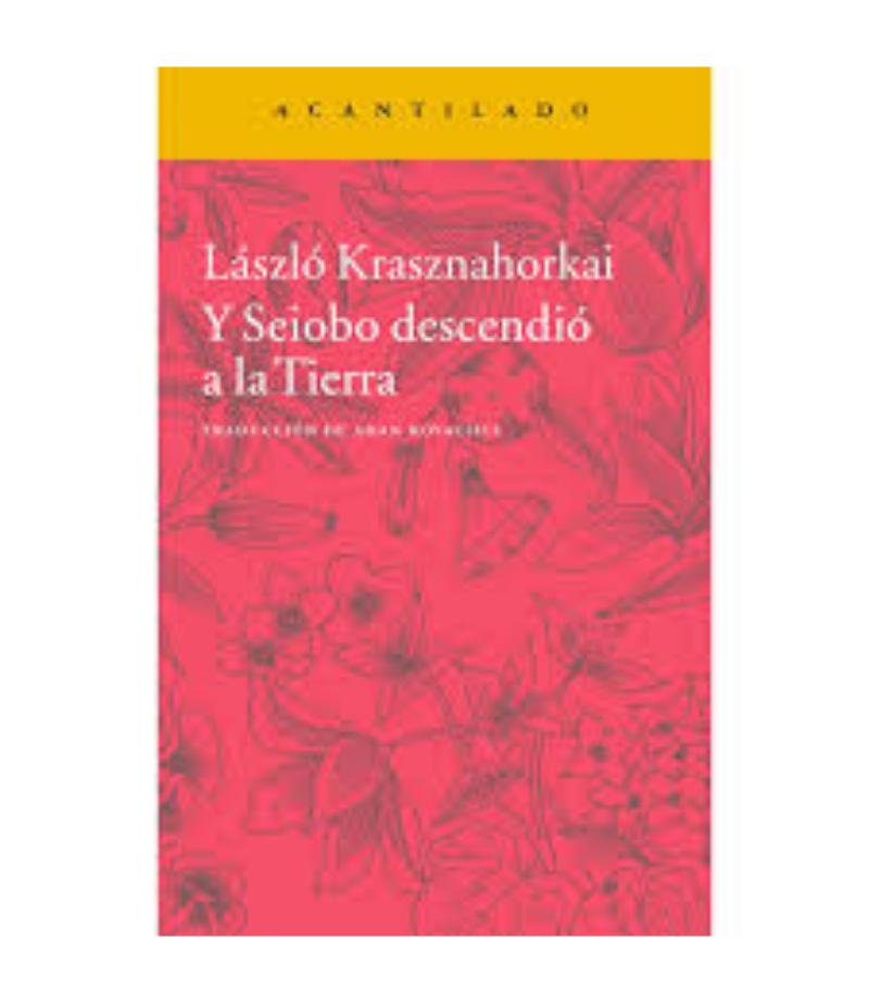 Y SEIOBO DESCENDIÓ A LA TIERRA