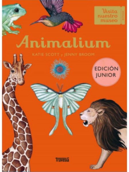 ANIMALIUM -JUNIOR-