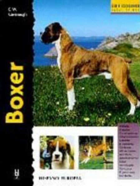 BOXER -SERIE EXCELLENCE RAZAS DE HOY-