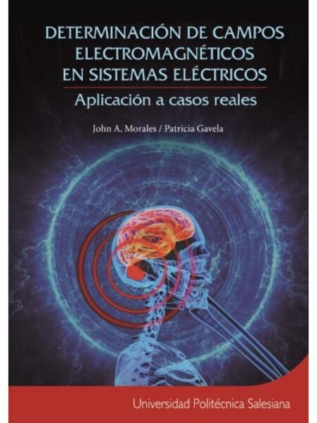 DETERMINACIÓN DE CAMPOS ELECTROMAGNÉTICOS EN SISTEMAS ELÉCTRICOS