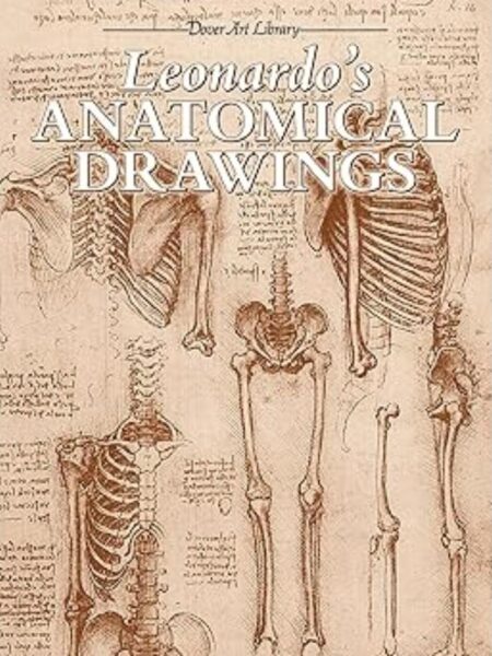 LEONARDOS ANATOMICAL DRAWINGS