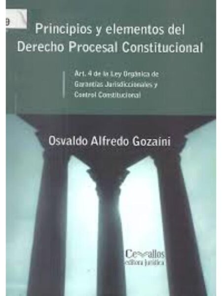 PRINCIPIOS Y ELEMENTOS DEL DERECHO PROCESAL CONSTITUCIONAL