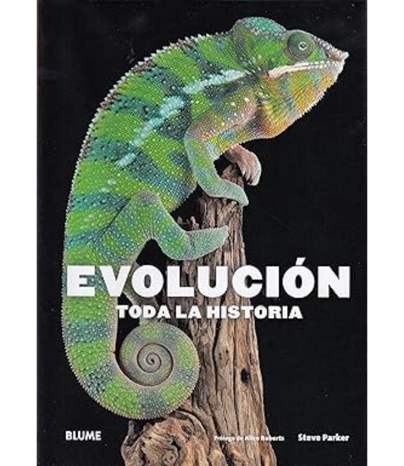 EVOLUCIÓN TODA LA HISTORIA