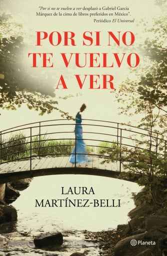 POR SI NO TE VUELVO A VER (EBOOK)