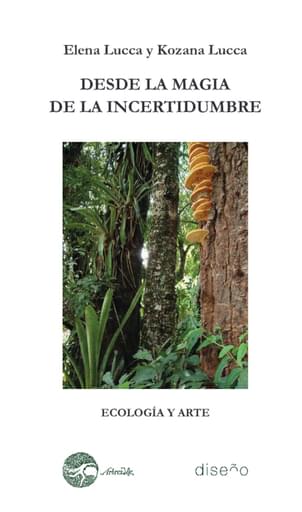 DESDE LA MAGIA DE LA INCERTIDUMBRE (EBOOK)