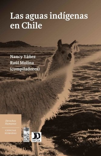 AGUAS INDÍGENAS EN CHILE, LA (EBOOK)